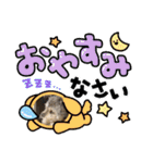 毛皮族のスタンプversion2.0（個別スタンプ：38）