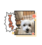 BIGリンクスタンプ 2（個別スタンプ：1）