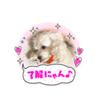 BIGリンクスタンプ 2（個別スタンプ：3）