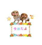 アロマハフレームスタンプ（個別スタンプ：16）