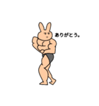 動じないうさぎマッチョ（個別スタンプ：3）