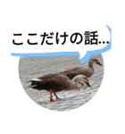 実感のある気持ち（個別スタンプ：6）