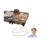 はるきちとパパ（個別スタンプ：17）
