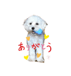 レイチ 犬（個別スタンプ：1）