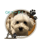 レイチ 犬（個別スタンプ：7）