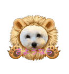 レイチ 犬（個別スタンプ：12）