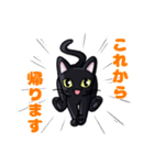黒猫ノア 日常編（個別スタンプ：12）