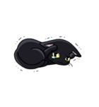 黒猫ノア 日常編（個別スタンプ：24）