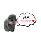 うちの子シリーズ『うさぎの高丸くん』（個別スタンプ：5）