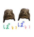 うちの子シリーズ『うさぎの高丸くん』（個別スタンプ：8）
