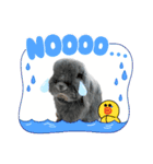うちの子シリーズ『うさぎの高丸くん』（個別スタンプ：12）