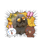 うちの子シリーズ『うさぎの高丸くん』（個別スタンプ：15）