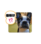 福禅★不動産あるある（個別スタンプ：12）