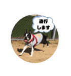 福禅★不動産あるある（個別スタンプ：16）