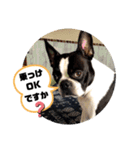 福禅★不動産あるある（個別スタンプ：18）