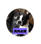 福禅★不動産あるある（個別スタンプ：19）