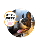 福禅★不動産あるある（個別スタンプ：20）