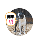 福禅★不動産あるある（個別スタンプ：23）