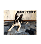 福禅★不動産あるある（個別スタンプ：26）