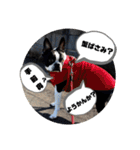 福禅★不動産あるある（個別スタンプ：35）