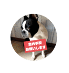 福禅★不動産あるある（個別スタンプ：36）