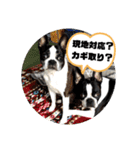 福禅★不動産あるある（個別スタンプ：38）
