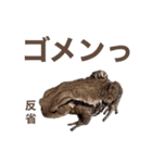 生き物たちと共に②（個別スタンプ：1）