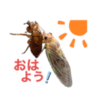 生き物たちと共に②（個別スタンプ：5）