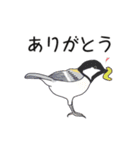 身近な野鳥スタンプ（個別スタンプ：5）