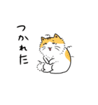 こっそり猫生活（個別スタンプ：7）