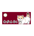 猫まるけ省エネスタンプ（個別スタンプ：20）