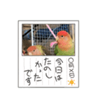 kawafamily28（個別スタンプ：2）