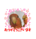 kawafamily28（個別スタンプ：8）