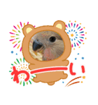 kawafamily28（個別スタンプ：12）
