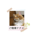 テオのスタンプ2（個別スタンプ：3）