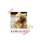 テオのスタンプ2（個別スタンプ：4）