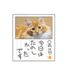 テオのスタンプ2（個別スタンプ：5）