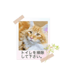 テオのスタンプ2（個別スタンプ：6）