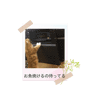 テオのスタンプ2（個別スタンプ：7）