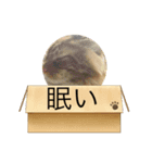 テオのスタンプ2（個別スタンプ：10）