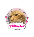 テオのスタンプ2（個別スタンプ：14）