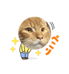 テオのスタンプ2（個別スタンプ：16）