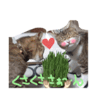 こじろうと愉快な仲間たち（個別スタンプ：2）