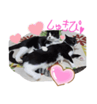 こじろうと愉快な仲間たち（個別スタンプ：3）