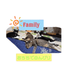 こじろうと愉快な仲間たち（個別スタンプ：5）
