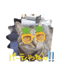 こじろうと愉快な仲間たち（個別スタンプ：6）