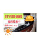 こじろうと愉快な仲間たち（個別スタンプ：8）
