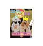 こじろうと愉快な仲間たち（個別スタンプ：14）