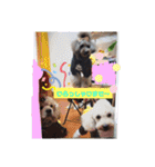 こじろうと愉快な仲間たち（個別スタンプ：26）