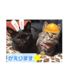 こじろうと愉快な仲間たち（個別スタンプ：28）